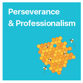 Persistence and Professionalism